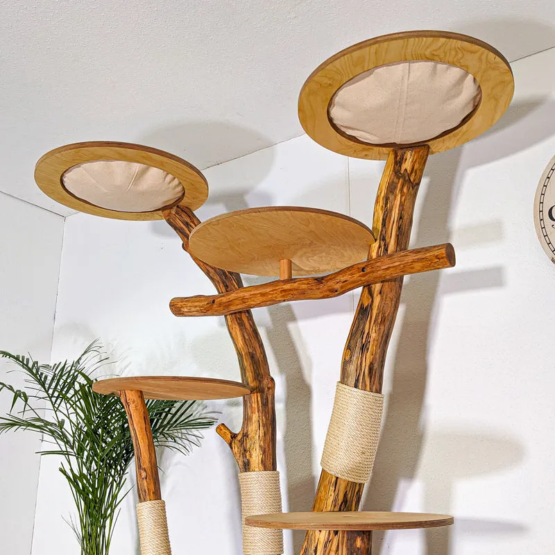 Naturkratzbaum 4533 Kratzbaum Natur Holz Design 205 cm hoch Katzenbaum