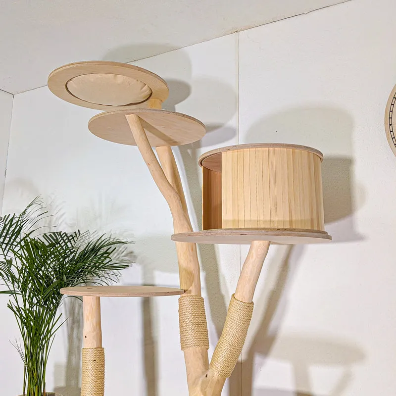 Naturkratzbaum 4528 Kratzbaum Natur Holz Design 215 cm hoch Katzenbaum