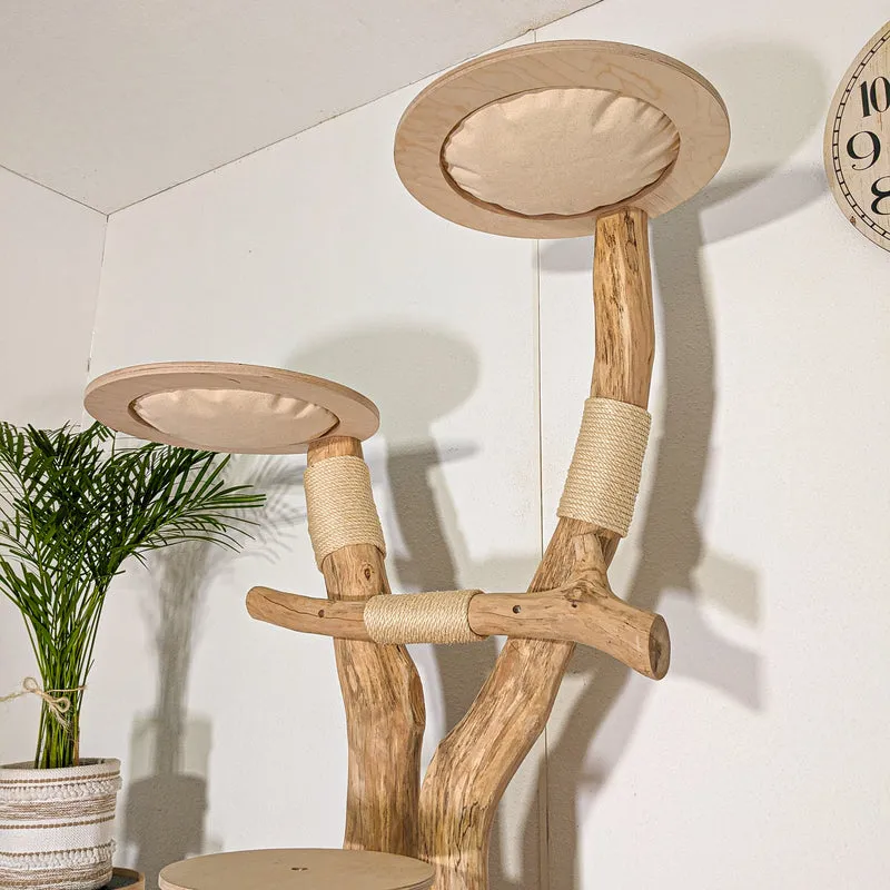 Naturkratzbaum 4525 Kratzbaum Natur Holz Design 173 cm hoch Katzenbaum