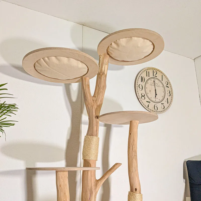 Naturkratzbaum 4524 Kratzbaum Natur Holz Design 195 cm hoch Katzenbaum