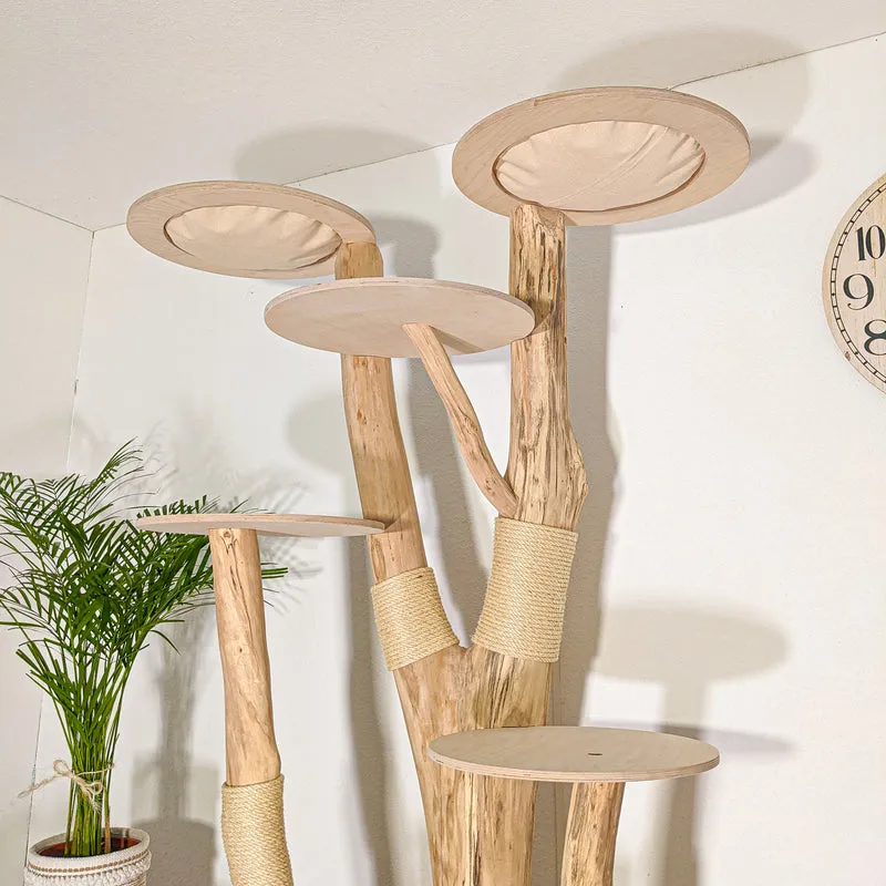 Naturkratzbaum 4520 Kratzbaum Natur Holz Design 205 cm hoch Katzenbaum