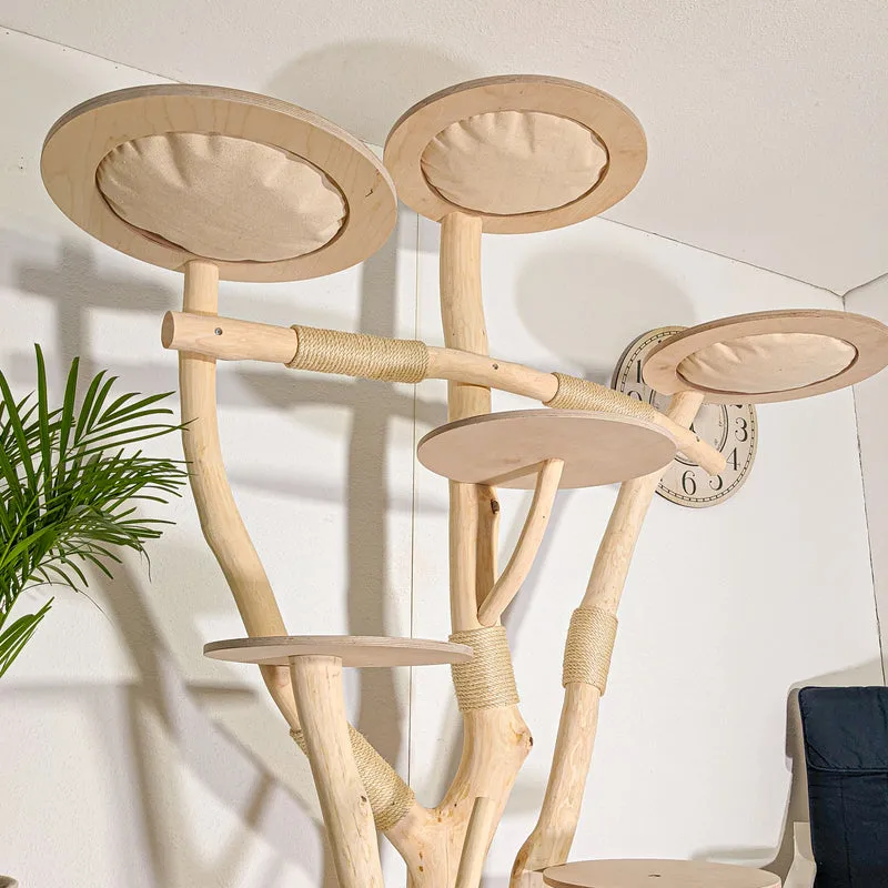 Naturkratzbaum 4519 Kratzbaum Natur Holz Design 210 cm hoch Katzenbaum