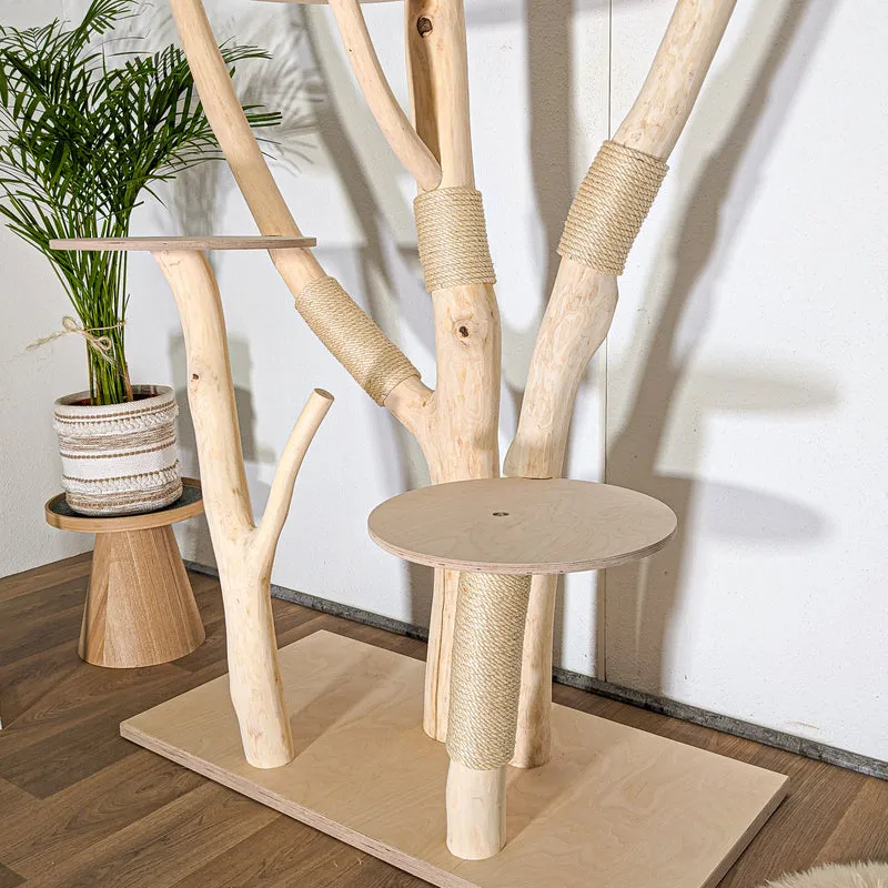 Naturkratzbaum 4519 Kratzbaum Natur Holz Design 210 cm hoch Katzenbaum