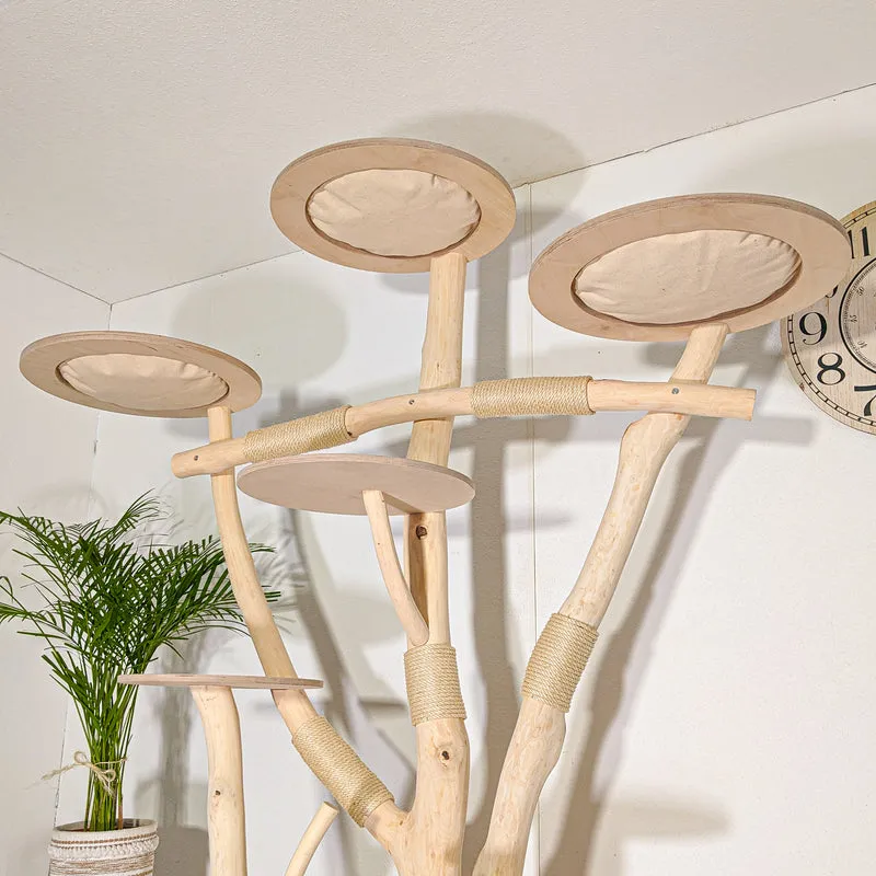 Naturkratzbaum 4519 Kratzbaum Natur Holz Design 210 cm hoch Katzenbaum
