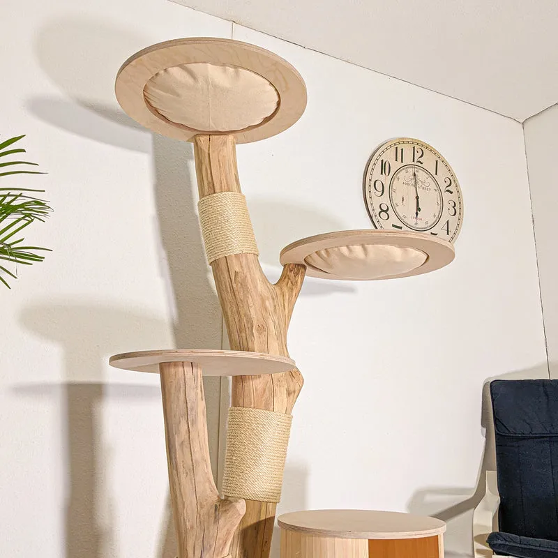 RESERVIERT + ÄNDERUNG Naturkratzbaum 4518 Kratzbaum Natur Holz Design 175 cm hoch Katzenbaum
