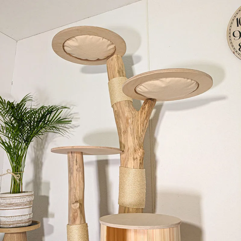 RESERVIERT + ÄNDERUNG Naturkratzbaum 4518 Kratzbaum Natur Holz Design 175 cm hoch Katzenbaum