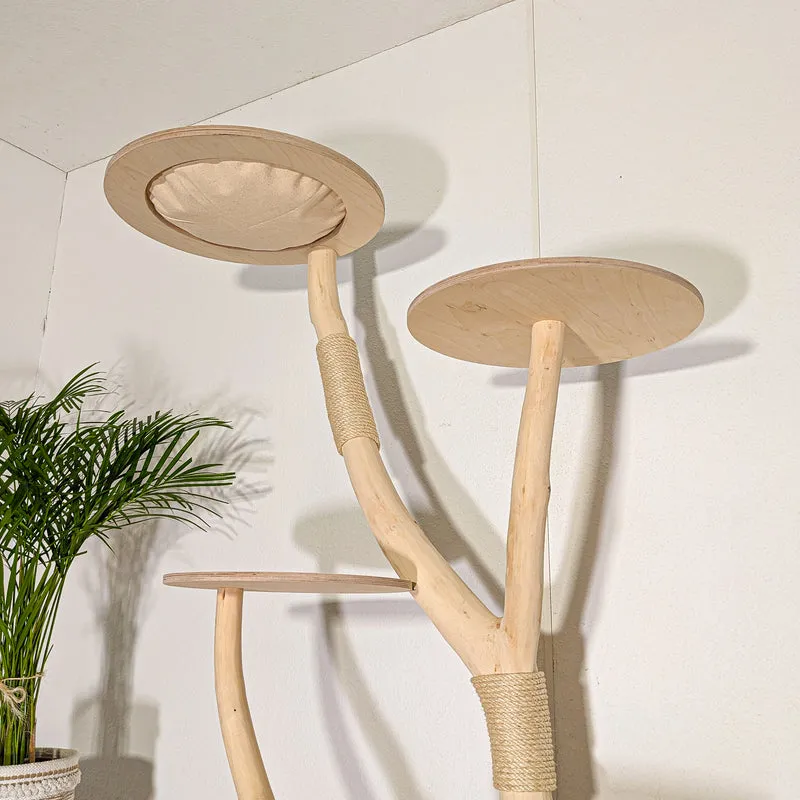 Naturkratzbaum 4516 Kratzbaum Natur Holz Design 177 cm hoch Katzenbaum