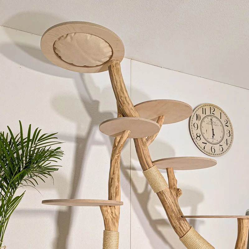 Naturkratzbaum 4515 Kratzbaum Natur Holz Design 210 cm hoch Katzenbaum