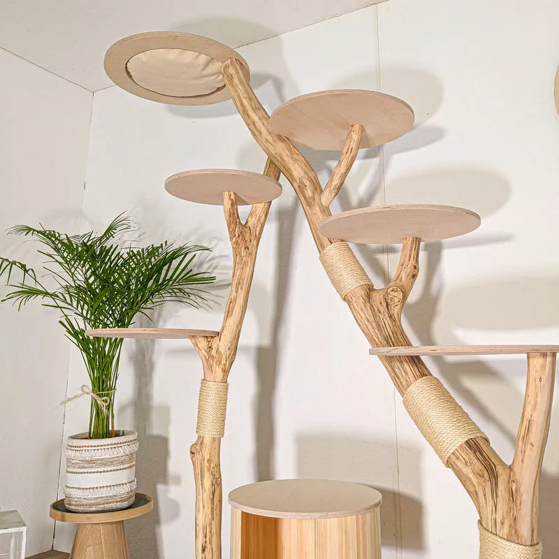Naturkratzbaum 4515 Kratzbaum Natur Holz Design 210 cm hoch Katzenbaum