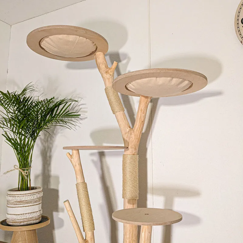 Naturkratzbaum 4514 Kratzbaum Natur Holz Design 170 cm hoch Katzenbaum