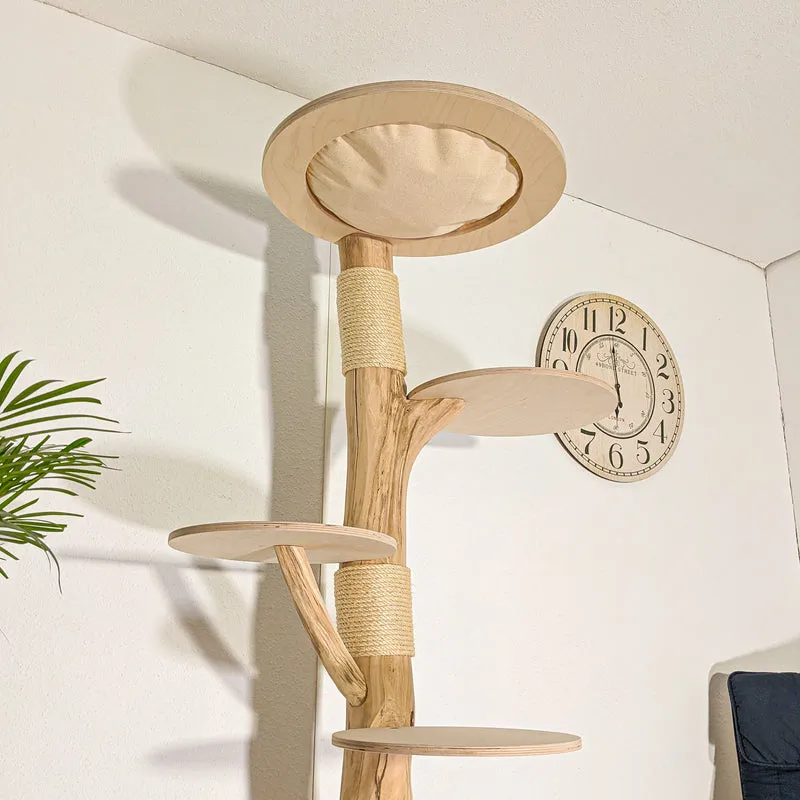 Naturkratzbaum 4513 Kratzbaum Natur Holz Design 190 cm hoch Katzenbaum