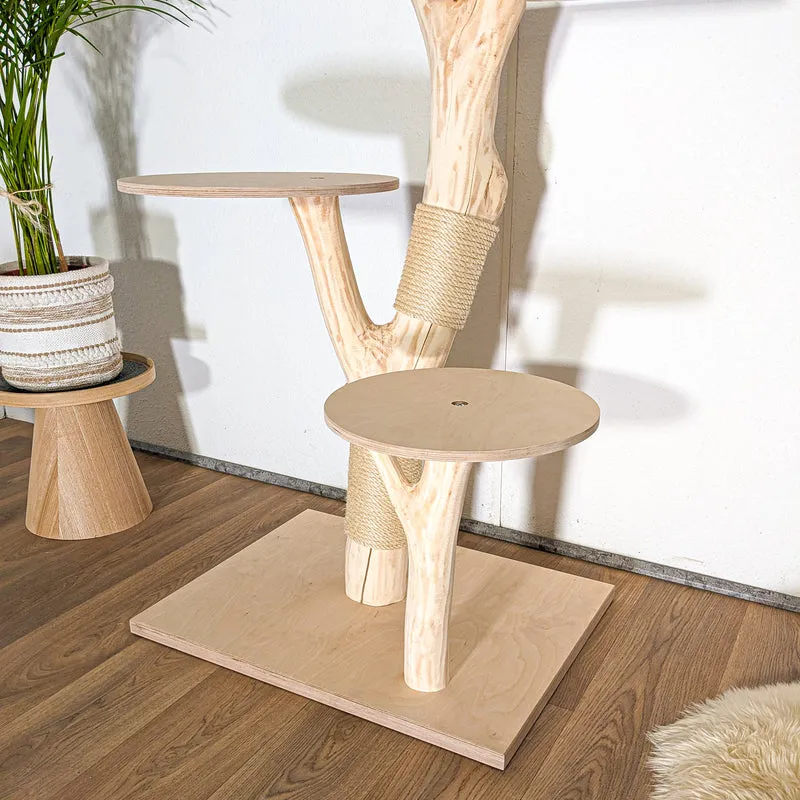 Naturkratzbaum 4509 Kratzbaum Natur Holz Design 144 cm hoch Katzenbaum