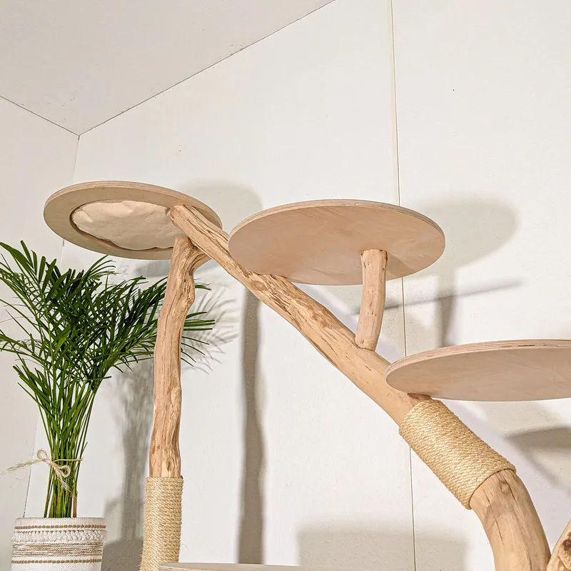 Naturkratzbaum 4507 Kratzbaum Natur Holz Design 157 cm hoch Katzenbaum