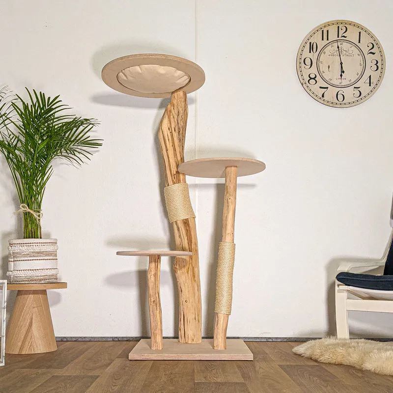 RESERVIERT - Naturkratzbaum 4505 Kratzbaum Natur Holz Design 155 cm hoch Katzenbaum