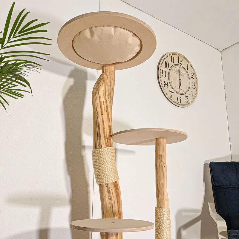 RESERVIERT - Naturkratzbaum 4505 Kratzbaum Natur Holz Design 155 cm hoch Katzenbaum