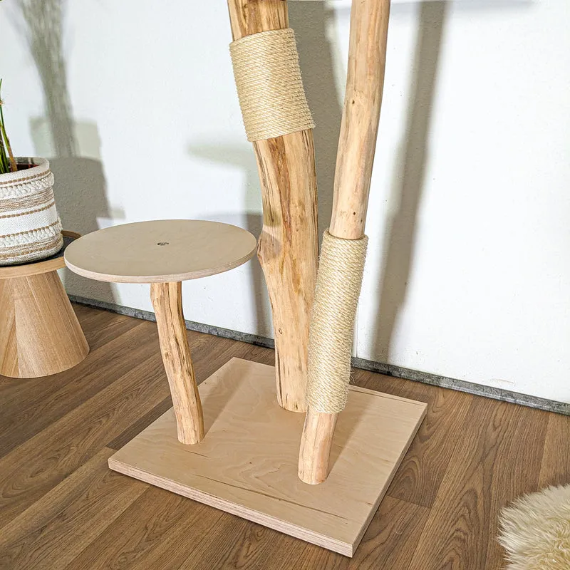 RESERVIERT - Naturkratzbaum 4505 Kratzbaum Natur Holz Design 155 cm hoch Katzenbaum