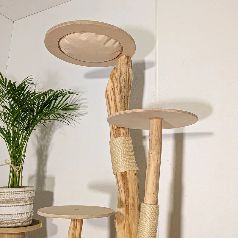 RESERVIERT - Naturkratzbaum 4505 Kratzbaum Natur Holz Design 155 cm hoch Katzenbaum