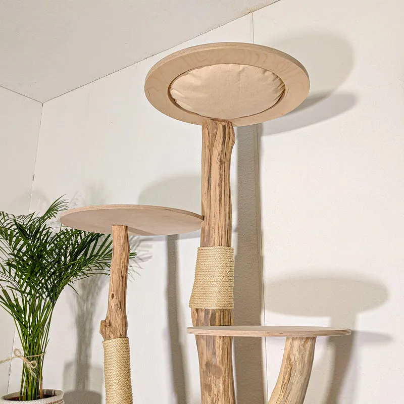 Naturkratzbaum 4501 Kratzbaum Natur Holz Design 175 cm hoch Katzenbaum
