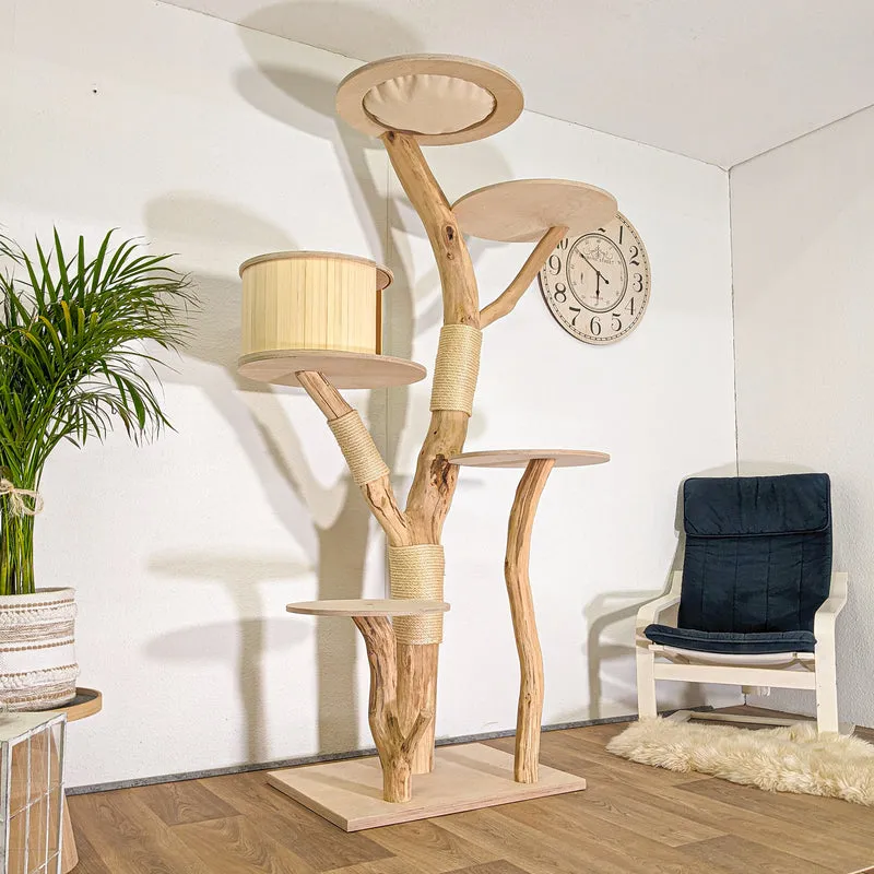 RESERVIERT - Naturkratzbaum 4500 Kratzbaum Natur Holz Design 208 cm hoch Katzenbaum