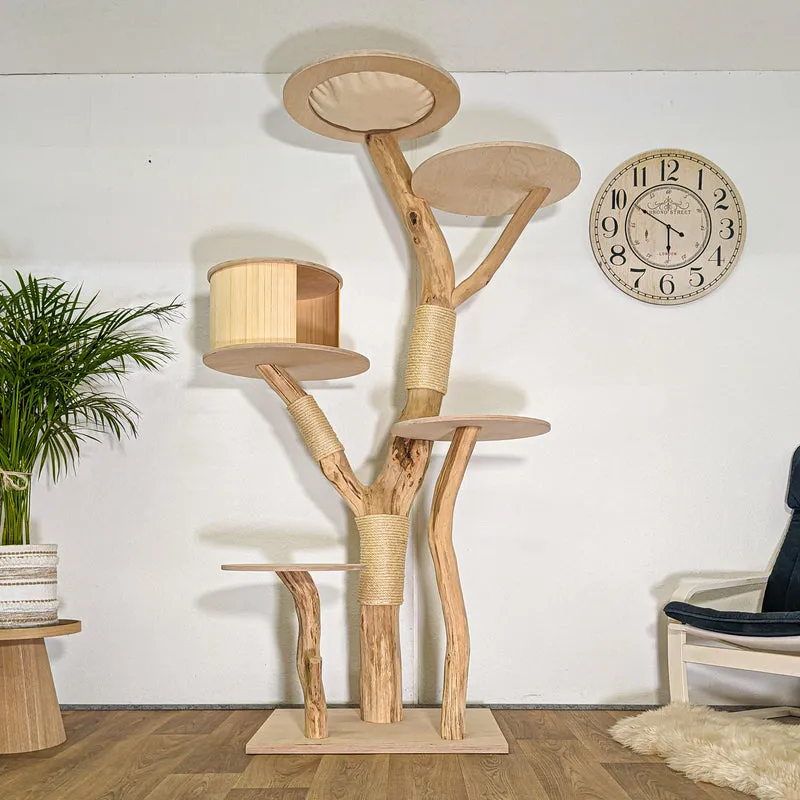 RESERVIERT - Naturkratzbaum 4500 Kratzbaum Natur Holz Design 208 cm hoch Katzenbaum