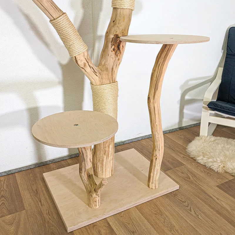 RESERVIERT - Naturkratzbaum 4500 Kratzbaum Natur Holz Design 208 cm hoch Katzenbaum