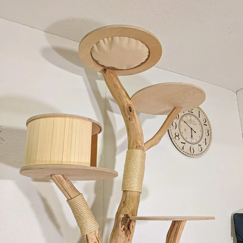 RESERVIERT - Naturkratzbaum 4500 Kratzbaum Natur Holz Design 208 cm hoch Katzenbaum