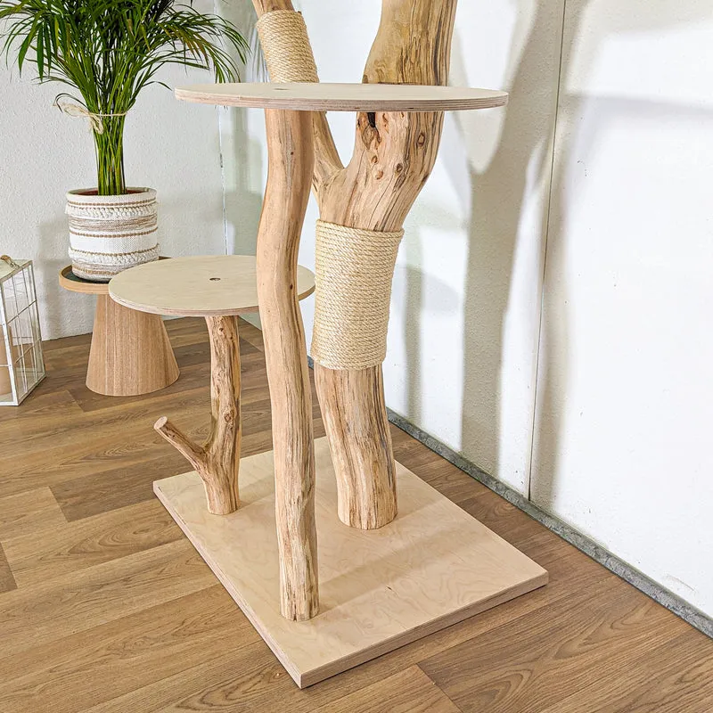 RESERVIERT - Naturkratzbaum 4500 Kratzbaum Natur Holz Design 208 cm hoch Katzenbaum