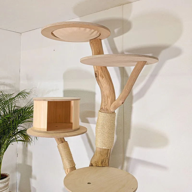RESERVIERT - Naturkratzbaum 4500 Kratzbaum Natur Holz Design 208 cm hoch Katzenbaum