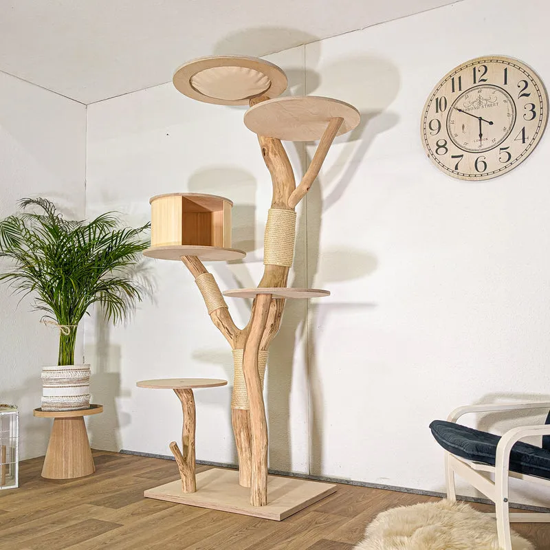 RESERVIERT - Naturkratzbaum 4500 Kratzbaum Natur Holz Design 208 cm hoch Katzenbaum