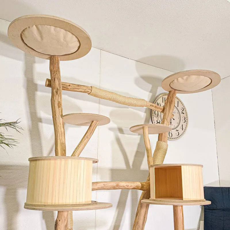 Naturkratzbaum 4499 Kratzbaum Natur Holz Design 205 cm hoch Katzenbaum