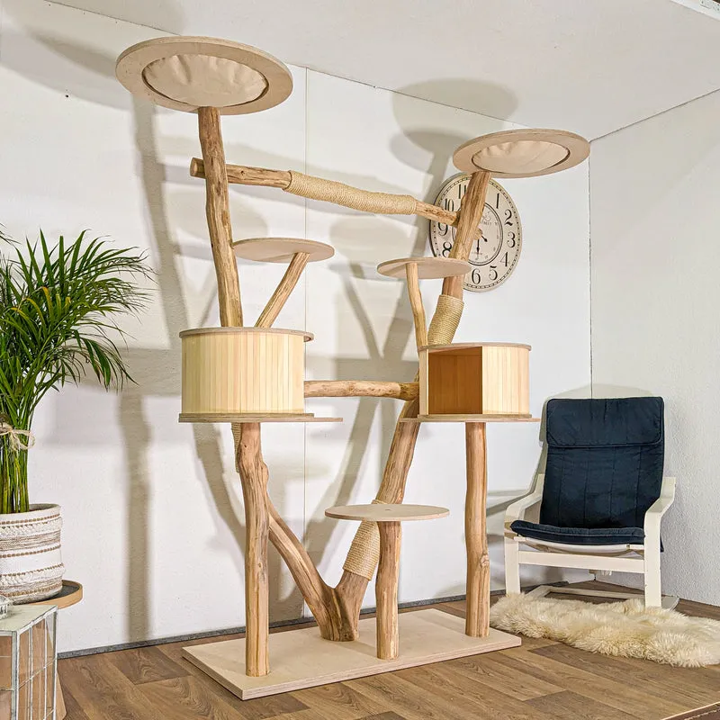 Naturkratzbaum 4499 Kratzbaum Natur Holz Design 205 cm hoch Katzenbaum