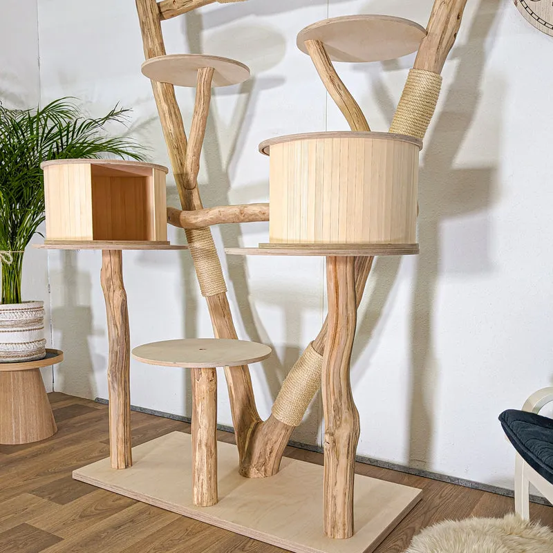 Naturkratzbaum 4499 Kratzbaum Natur Holz Design 205 cm hoch Katzenbaum