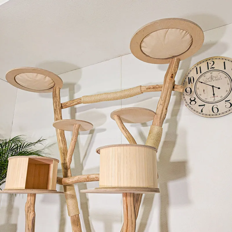 Naturkratzbaum 4499 Kratzbaum Natur Holz Design 205 cm hoch Katzenbaum