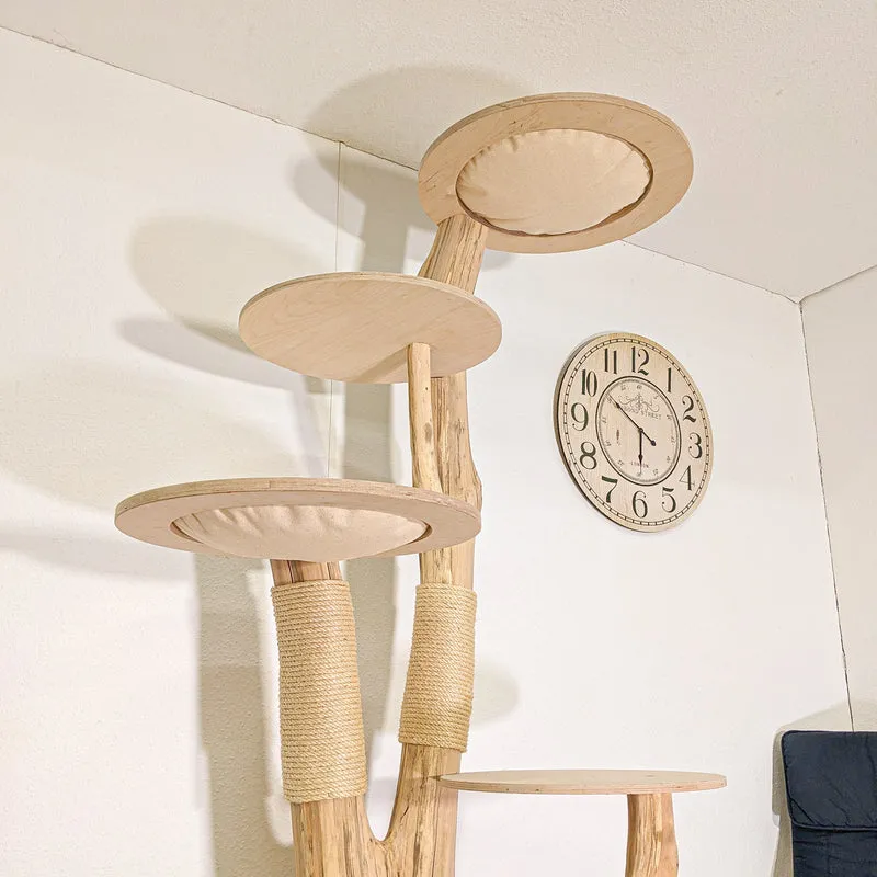 Naturkratzbaum 4498 Kratzbaum Natur Holz Design 215 cm hoch Katzenbaum