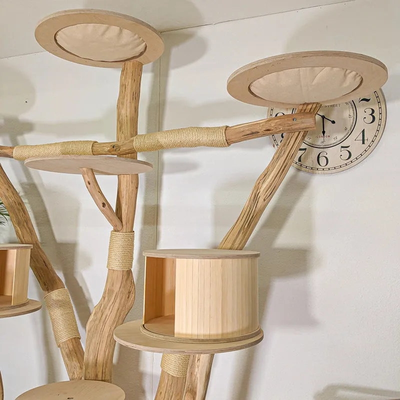 RESERVIERT - Naturkratzbaum 4497 Kratzbaum Natur Holz Design 210 cm hoch Katzenbaum