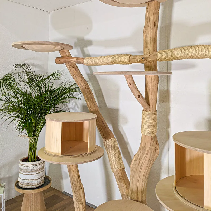 RESERVIERT - Naturkratzbaum 4497 Kratzbaum Natur Holz Design 210 cm hoch Katzenbaum
