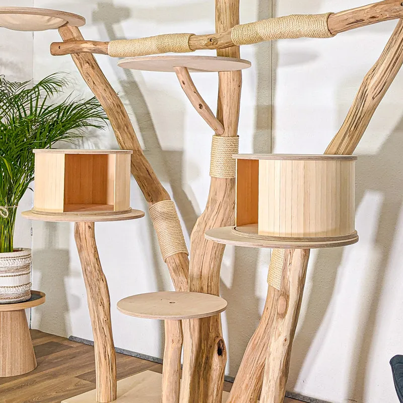RESERVIERT - Naturkratzbaum 4497 Kratzbaum Natur Holz Design 210 cm hoch Katzenbaum