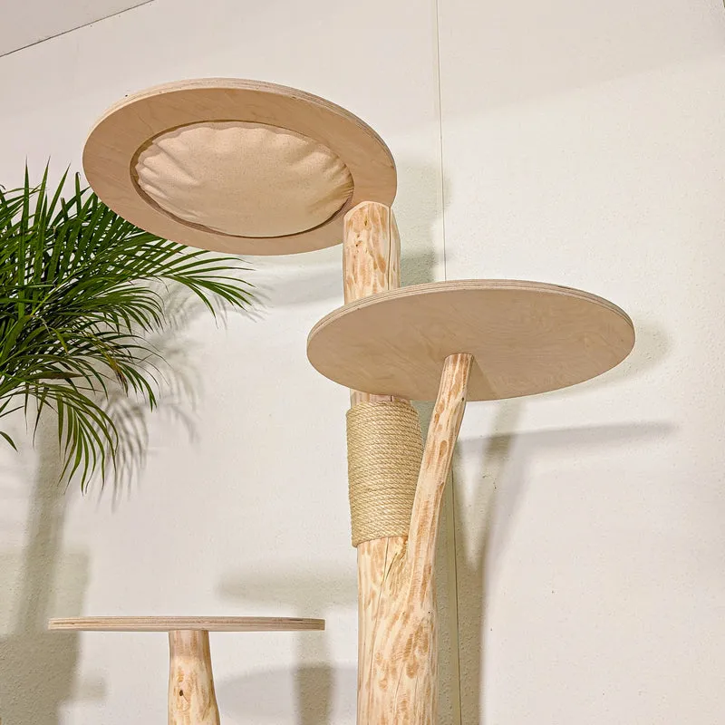 RESERVIERT - Naturkratzbaum 4496 Kratzbaum Natur Holz Design 135 cm hoch Katzenbaum