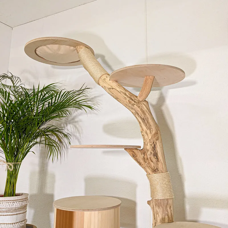Naturkratzbaum 4493 Kratzbaum Natur Holz Design 180 cm hoch Katzenbaum