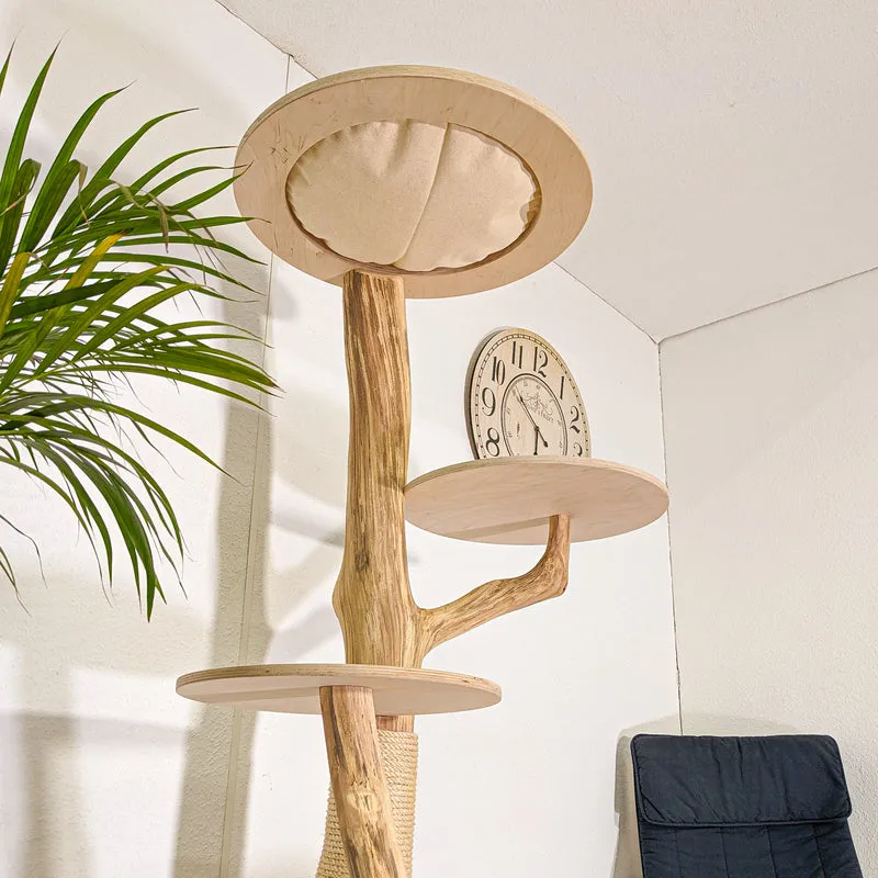 Naturkratzbaum 4492 Kratzbaum Natur Holz Design 175 cm hoch Katzenbaum
