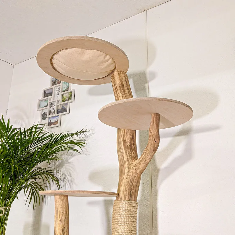 Naturkratzbaum 4492 Kratzbaum Natur Holz Design 175 cm hoch Katzenbaum