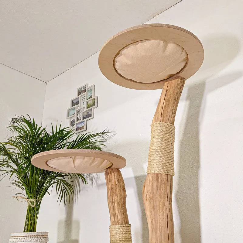 Naturkratzbaum 4491 Kratzbaum Natur Holz Design 153 cm hoch Katzenbaum
