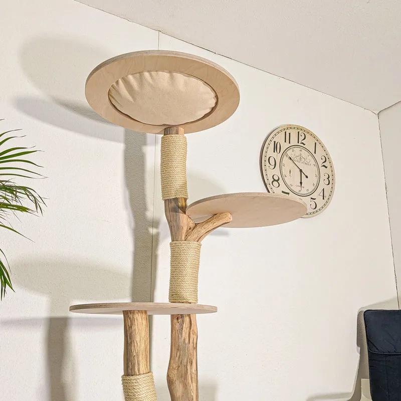 Naturkratzbaum 4487 Kratzbaum Natur Holz Design 175 cm hoch Katzenbaum