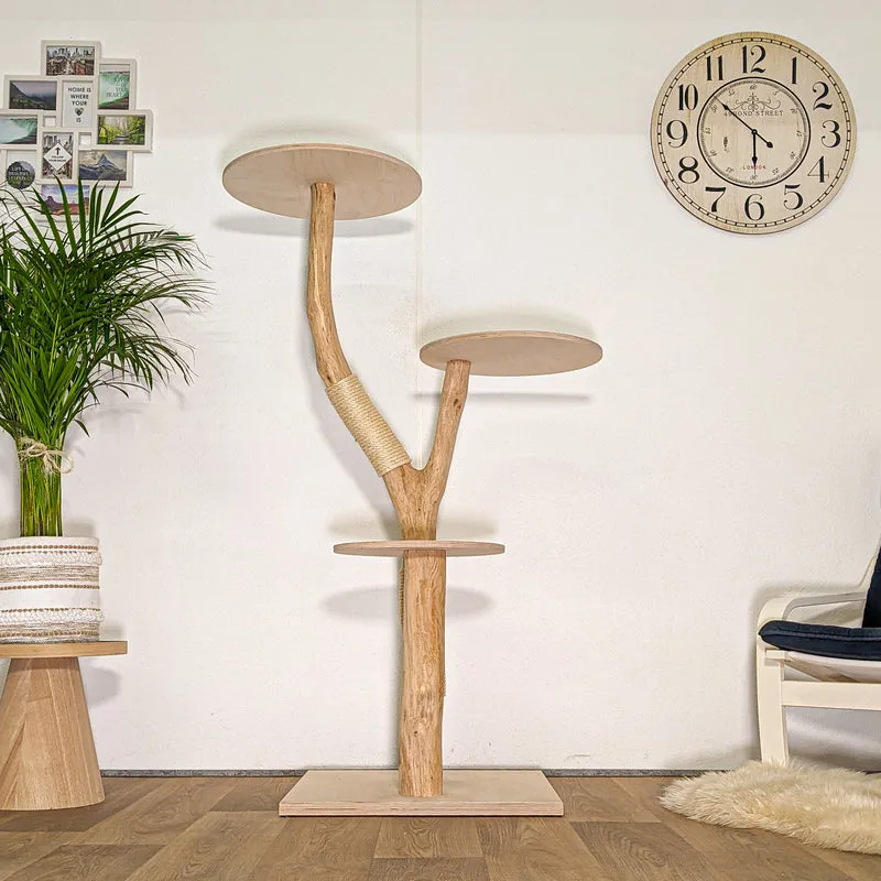 RESERVIERT + OHNE BEZÜGE -+- Naturkratzbaum 4483 Kratzbaum Natur Holz Design 153 cm hoch Katzenbaum