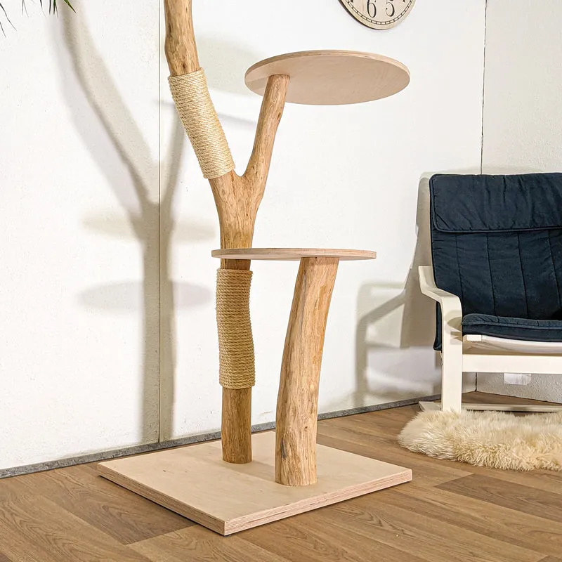 RESERVIERT + OHNE BEZÜGE -+- Naturkratzbaum 4483 Kratzbaum Natur Holz Design 153 cm hoch Katzenbaum