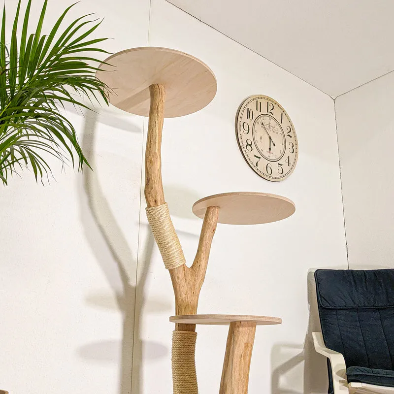 RESERVIERT + OHNE BEZÜGE -+- Naturkratzbaum 4483 Kratzbaum Natur Holz Design 153 cm hoch Katzenbaum