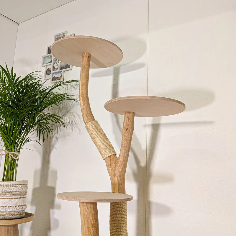 RESERVIERT + OHNE BEZÜGE -+- Naturkratzbaum 4483 Kratzbaum Natur Holz Design 153 cm hoch Katzenbaum
