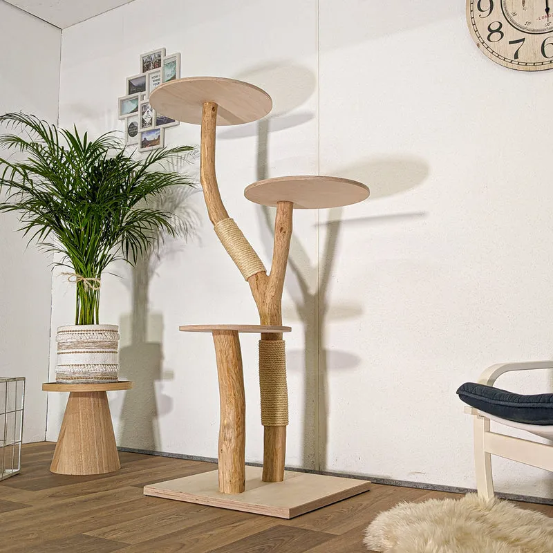 RESERVIERT + OHNE BEZÜGE -+- Naturkratzbaum 4483 Kratzbaum Natur Holz Design 153 cm hoch Katzenbaum