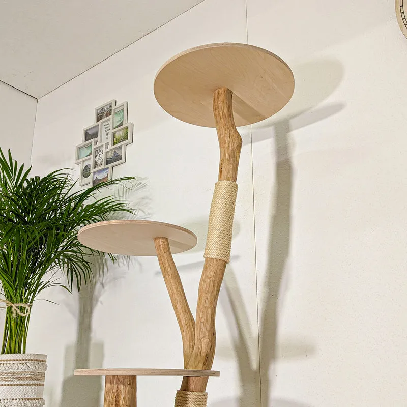 Naturkratzbaum 4478 Kratzbaum Natur Holz Design 152 cm hoch Katzenbaum