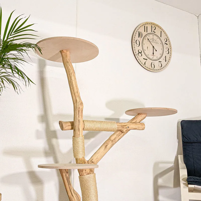 RESERVIERT - Naturkratzbaum 4477 Kratzbaum Natur Holz Design 140 cm hoch Katzenbaum